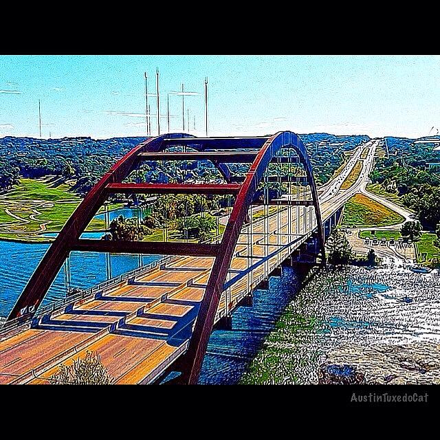 Bridge Photograph - Photoshopping My Favorite #austin #1 by Austin Tuxedo Cat