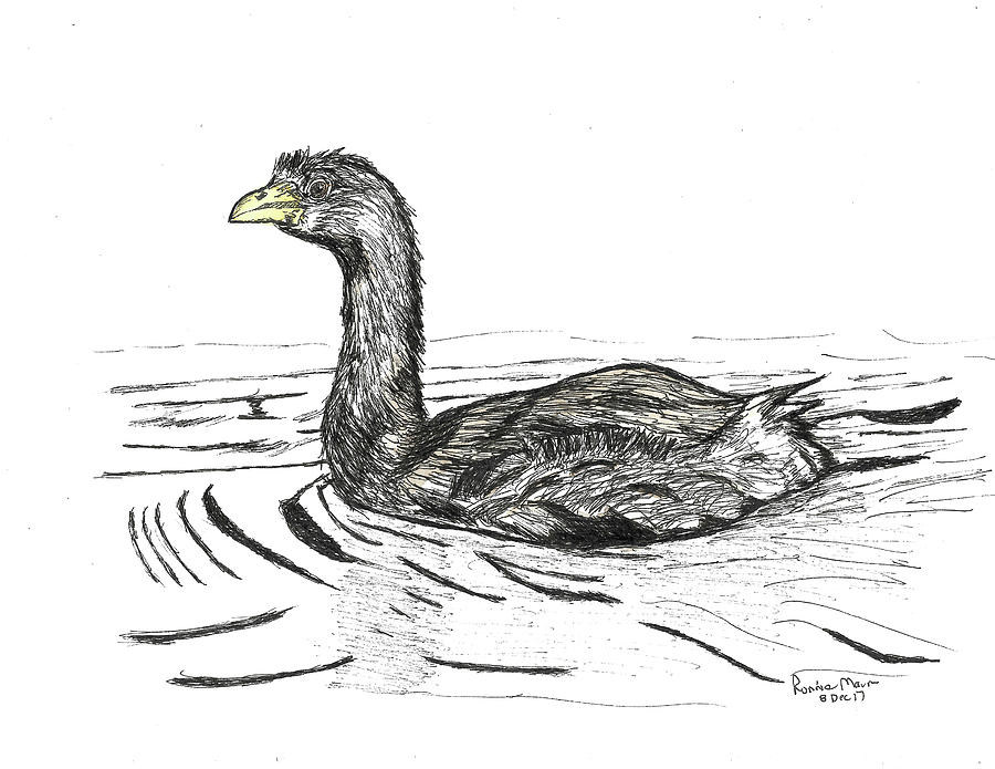 Pied-billed Grebe #1 Mixed Media by Ronnie Maum