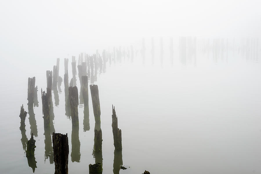 Pilings and Fog #1 Photograph by Robert Potts