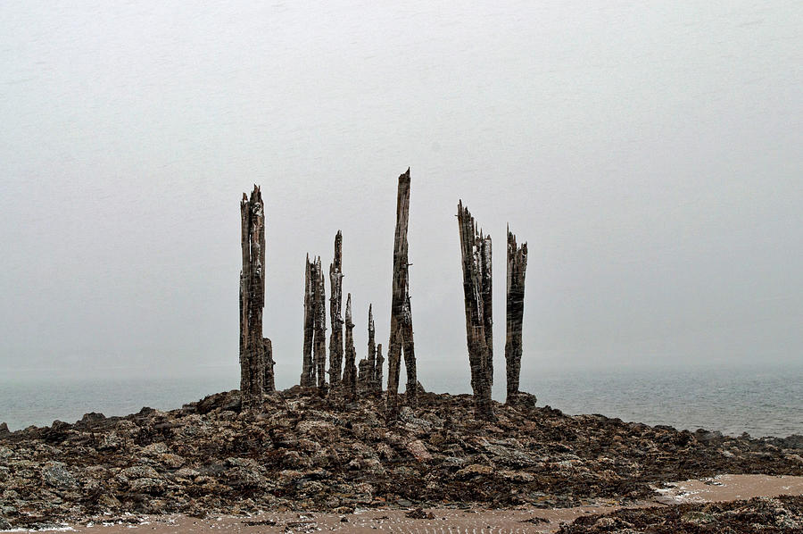 Pilings At Sandy Beach - Low Tide Photograph