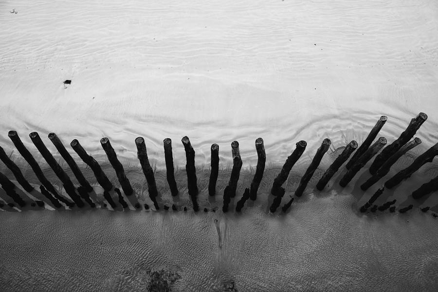 Pilings #1 Photograph by Hugh Smith