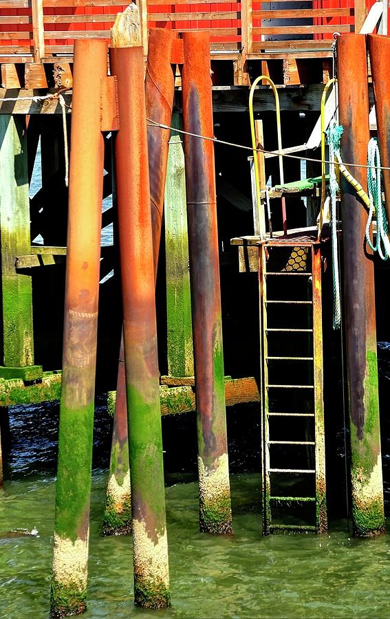 Pilings #2 Photograph by Jerry Sodorff