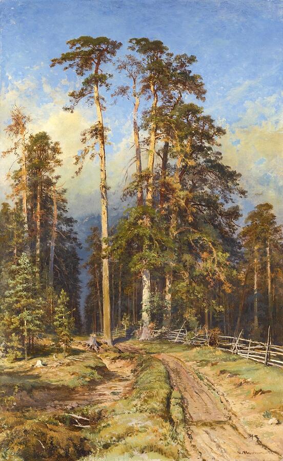 Pine Forest Painting by Ivan Shishkin - Fine Art America