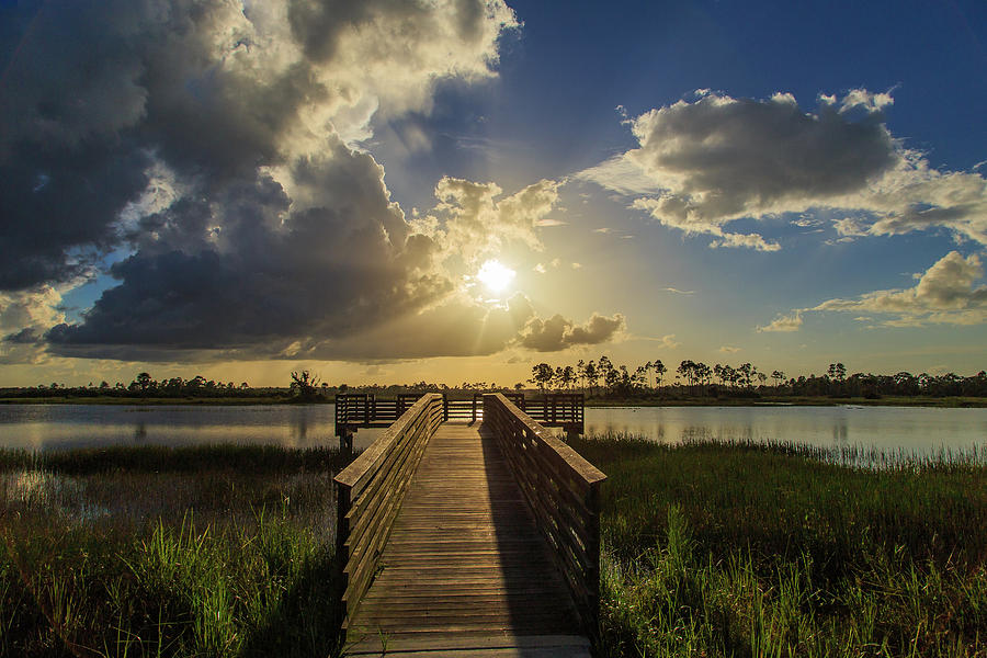 Pine Glades Sunset #1 Photograph by Stefan Mazzola