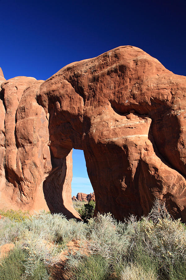Pine Tree Arch In Arches National Park Photograph
