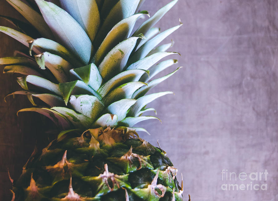 Pineapple #1 Photograph by Andrea Anderegg