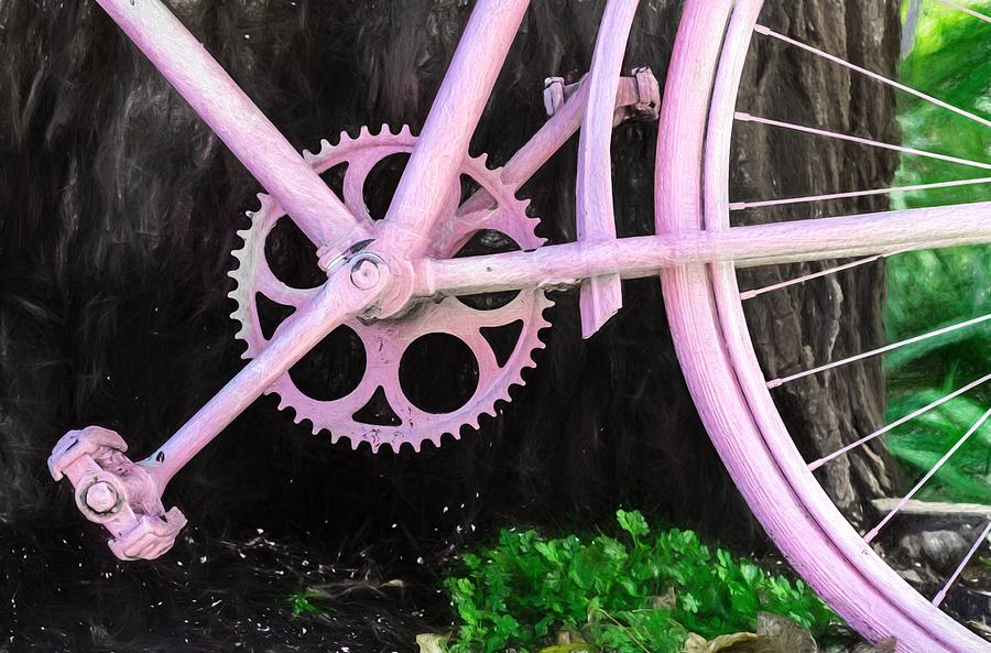 Pink Bycycle resting on a Tree #1 Photograph by John Williams