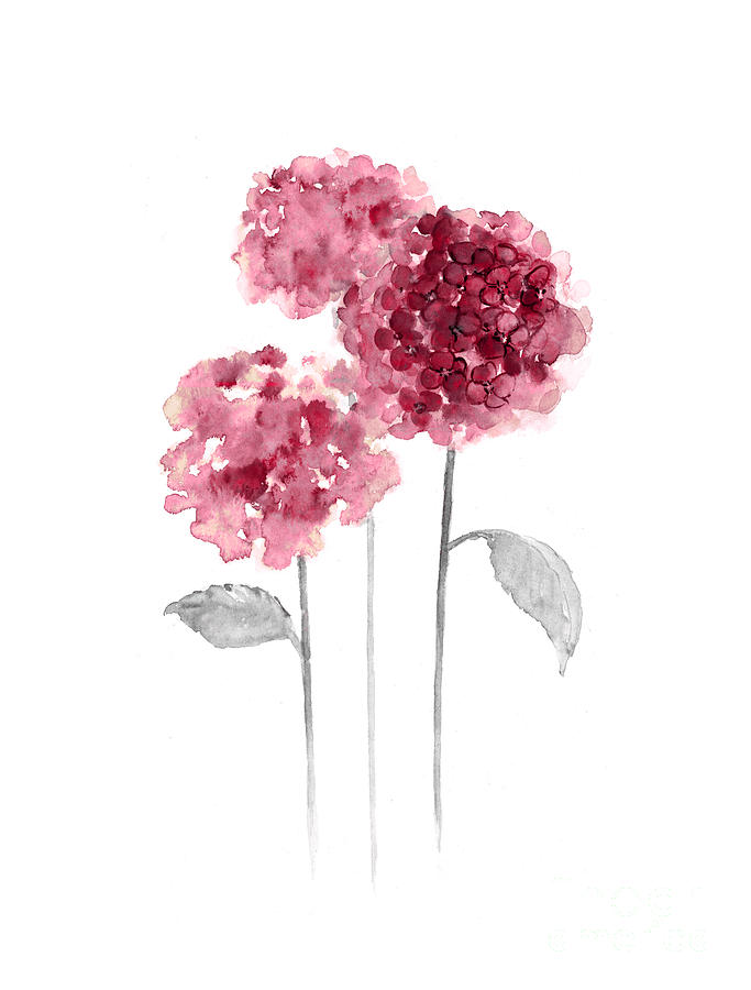 Illustration Pink flowers, watercolor painting