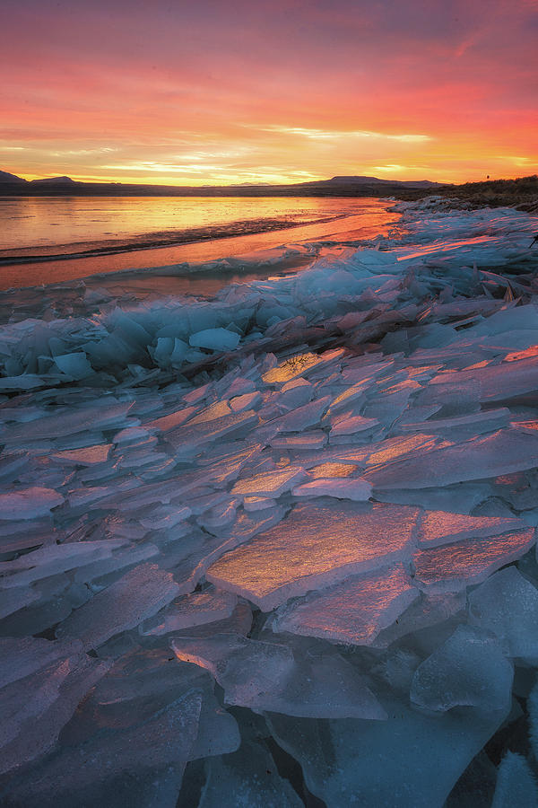 Pink Ice Photograph by Ryan Moyer - Fine Art America