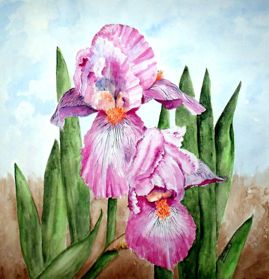 Pink Iris #1 Painting by Carol Grimes