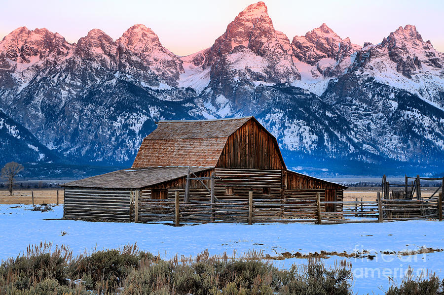 Grand Teton National Park Photograph - Pink Peaks Over Mormon Row #1 by Adam Jewell