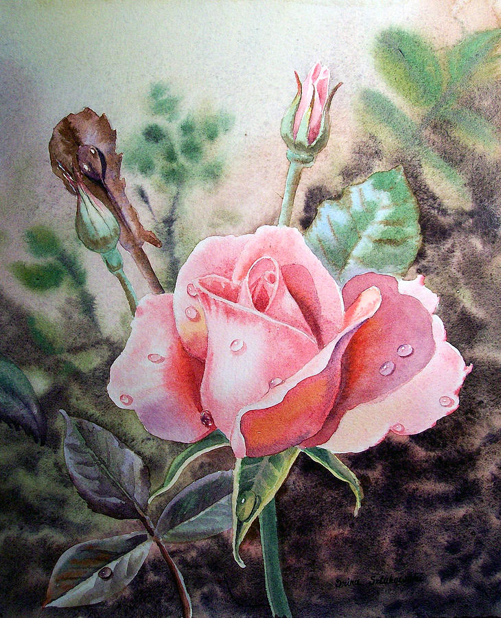 Pink Rose with Dew Drops Painting by Irina Sztukowski