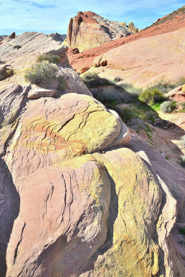 Pink Sandstone in Valley of Fire #2 Photograph by Ray Mathis
