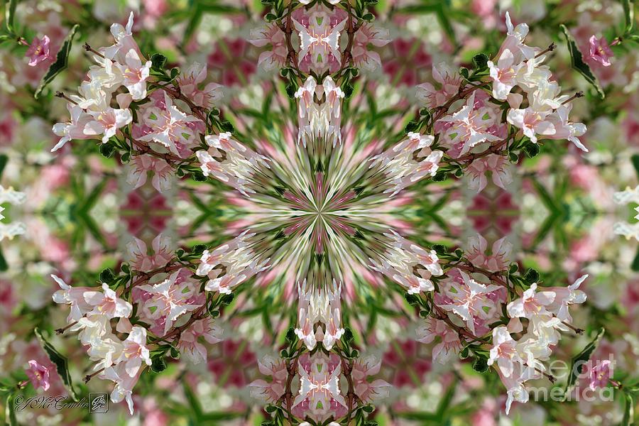 Pink Splash Kaleidoscope #1 Digital Art by J McCombie