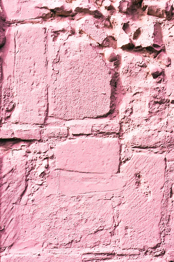 Pink wall #1 Photograph by Tom Gowanlock
