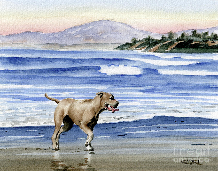 Portrait Painting - Pit Bull at the Beach  #2 by David Rogers