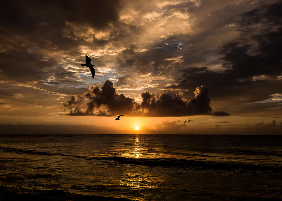 Playa Sunrise #1 Photograph by David Downs