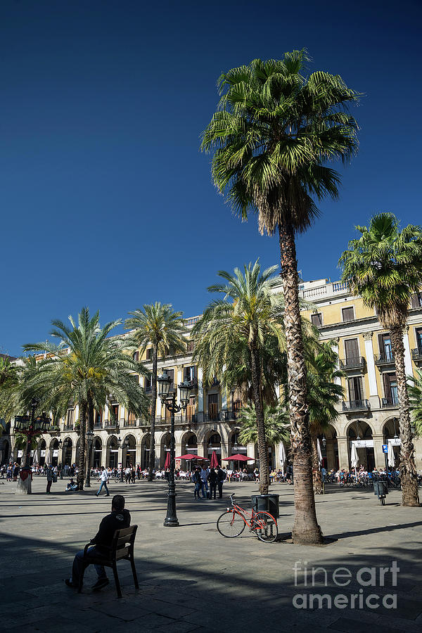 Plaza Real Square In Central Barcelona Old Town Spain Photograph