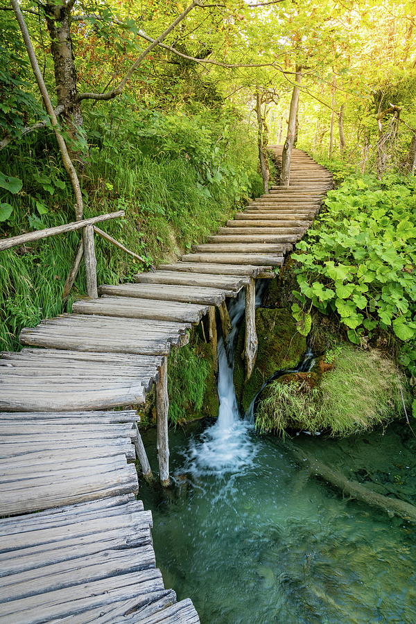 Plitvice Lakes National Park #1 Photograph by Alexey Stiop