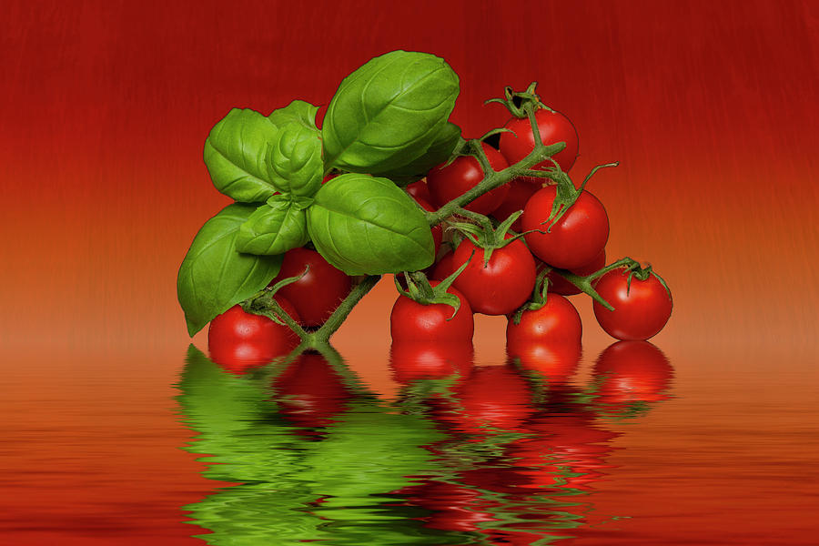 Plum Cherry Tomatoes Basil Photograph