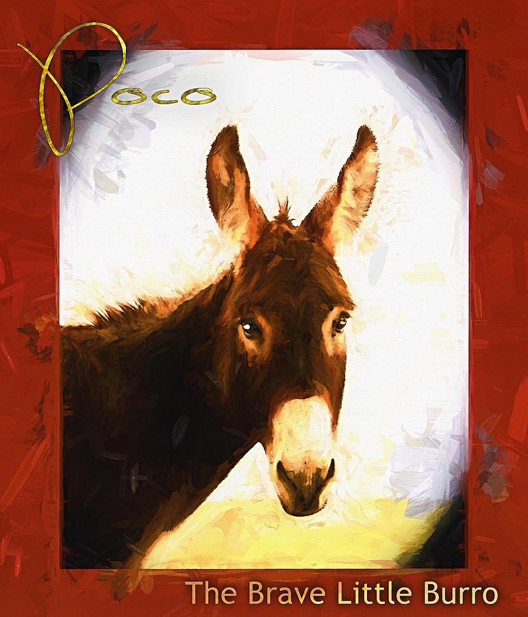 Horse Photograph - Poco The Brave Little Burro #1 by Shannon Story