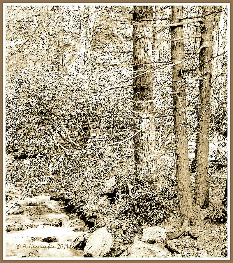 Pocono Mountain Stream, Pennsylvania, Digital Art #1 Photograph by A Macarthur Gurmankin