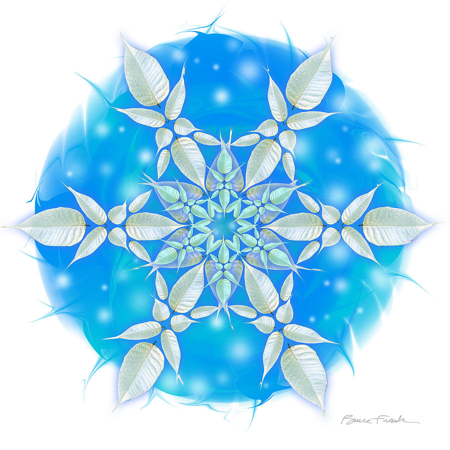 Poinsettia Snowflake Photograph by Bruce Frank