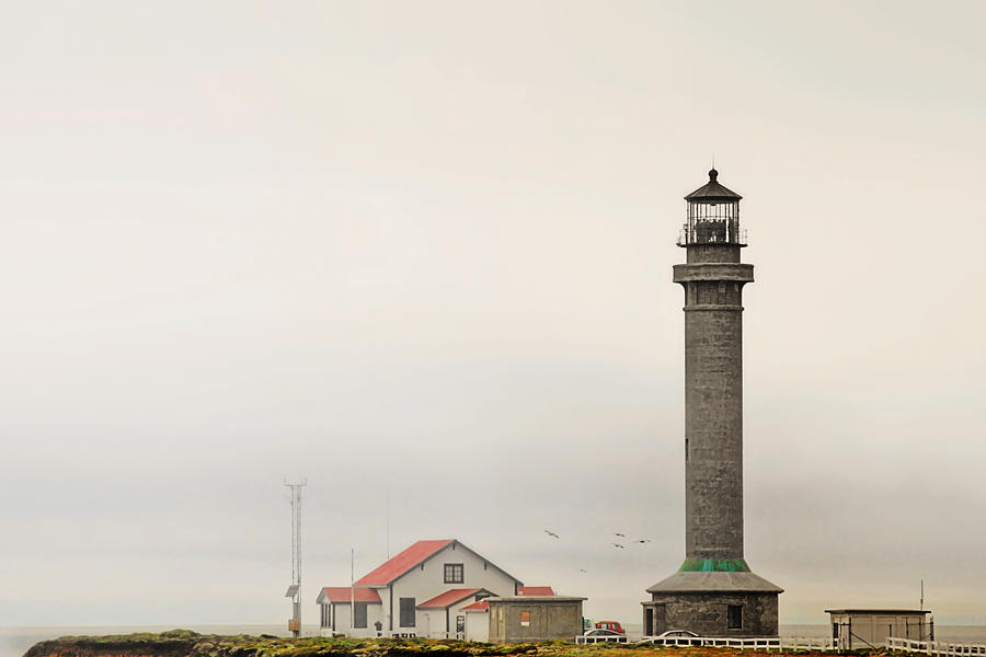 Lighthouse Photograph - Point Arena Lighthouse CA #1 by Alexandra Till