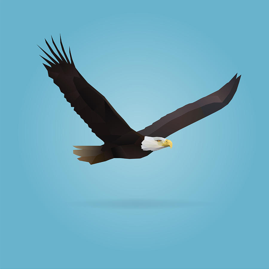 Poly Birds Eagle Digital Art