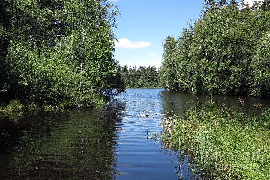 Pond in the Natural Preserve Kladska peats #1 Photograph by Michal Boubin