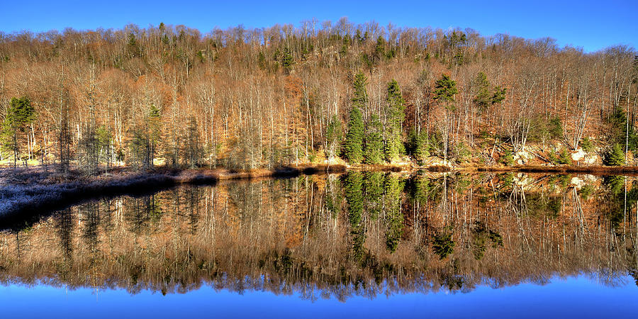 Pond Reflections #1 Photograph by David Patterson