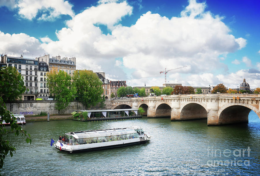 Pont Neuf, Paris, France #2 Photograph by Anastasy Yarmolovich