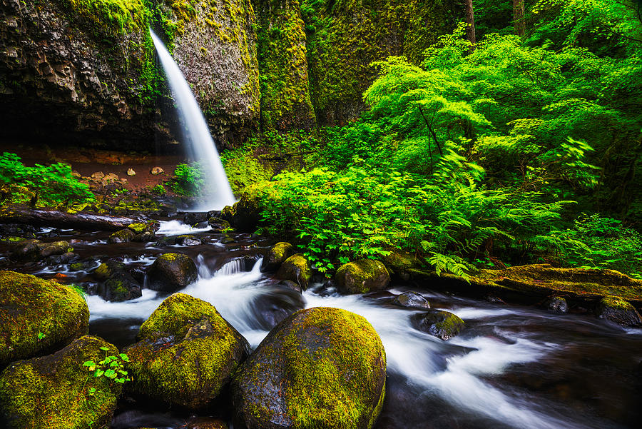 Ponytail falls in Columbia River Gorge in Oregon #2 Photograph by Vishwanath Bhat