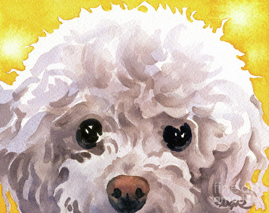 Poodle Painting - Poodle #3 by David Rogers