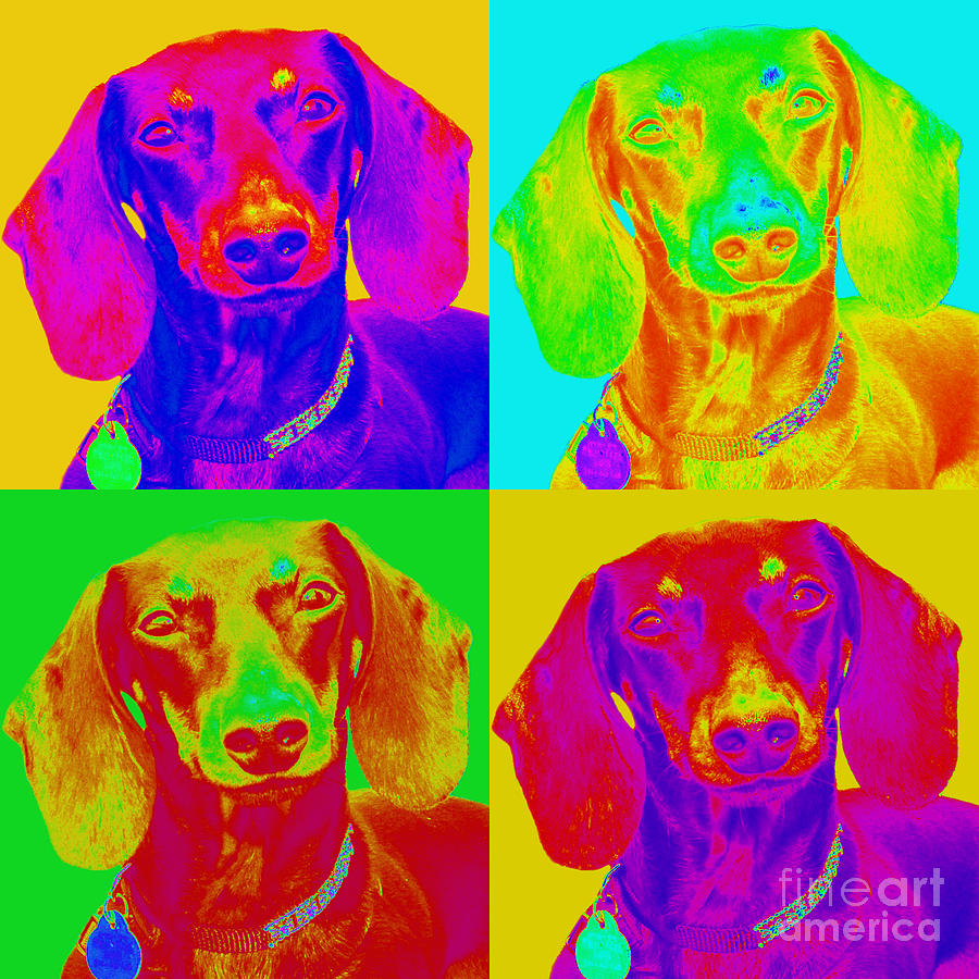 Dog Digital Art - Pop Art Dachshund #1 by Renae Crevalle