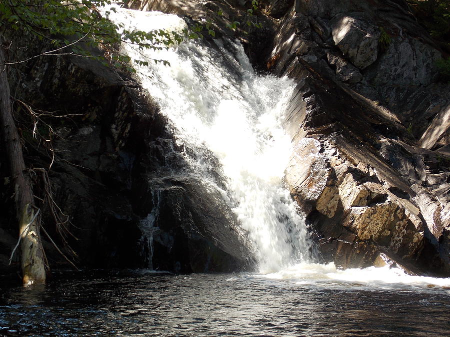 Poplar Stream Falls #1 Photograph by Catherine Gagne
