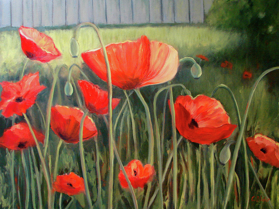 Poppies In The Wind #1 Painting by Cynthia Blair