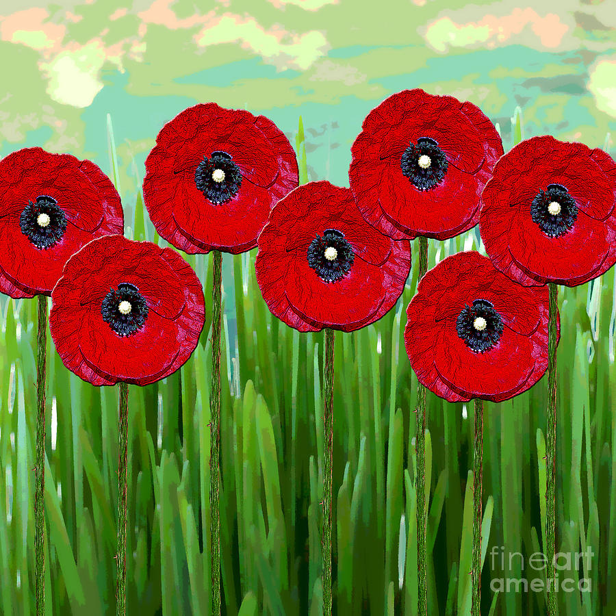 Poppies #1 Digital Art by Klara Acel