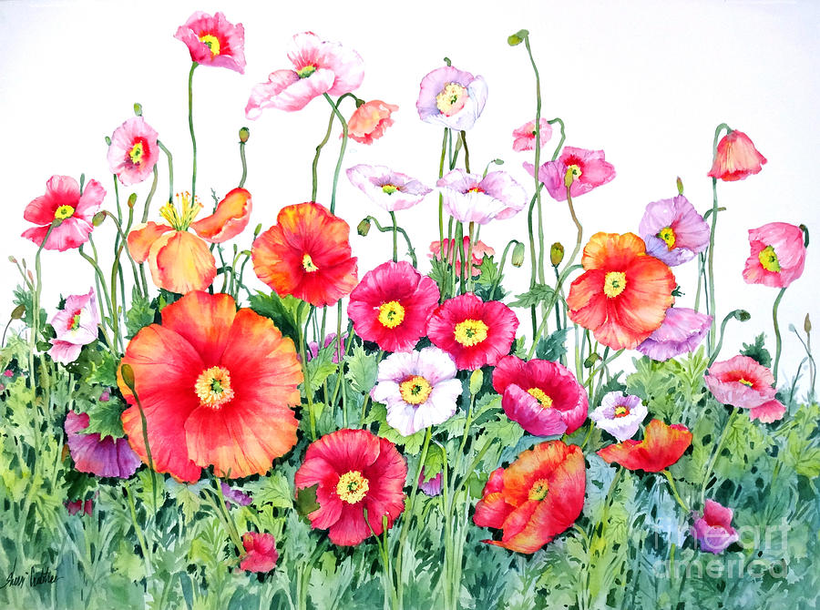 Poppies #1 Painting by Sherri Crabtree