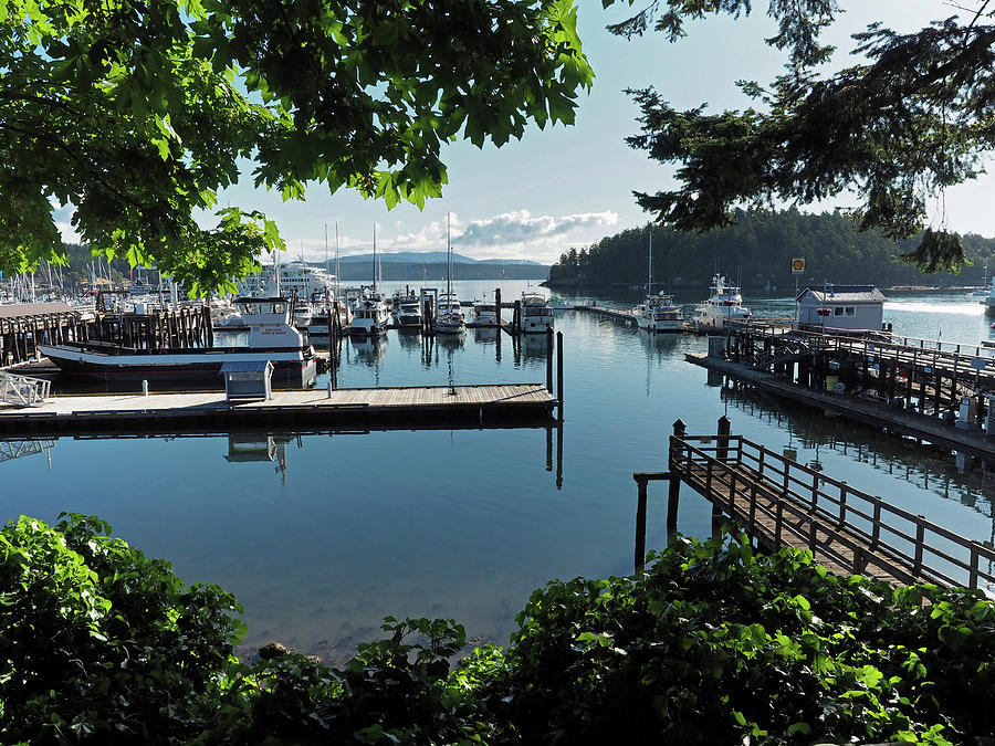 Port of Friday Harbor Marina Photograph by Stephanie McDowell - Fine ...