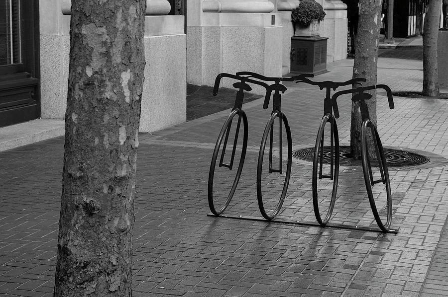 Portland Bike Racks #2 Photograph by Steven Clark