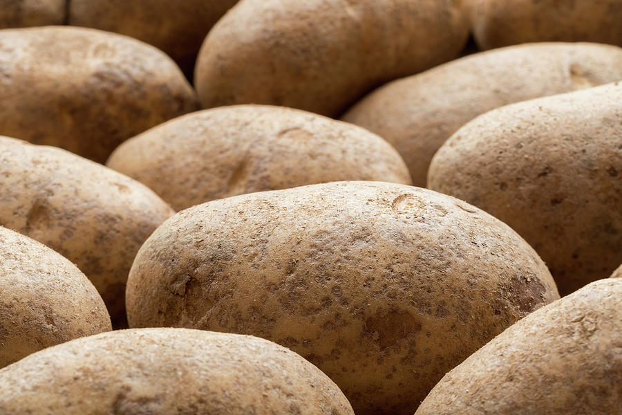 Potatoes Photograph