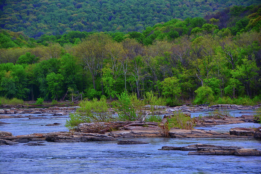 Potomac River Near Harpers Ferry #1 Photograph by Raymond Salani III