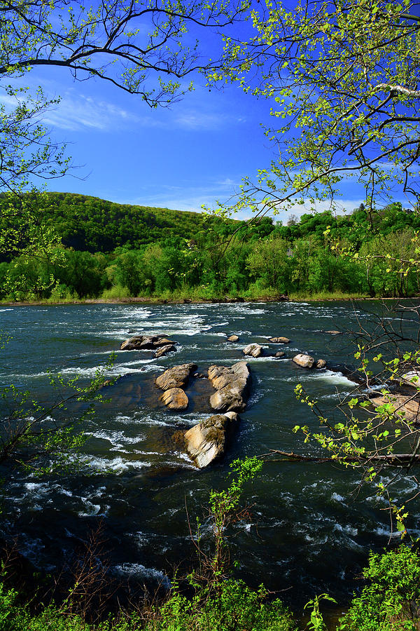 Potomac River Rapids #2 Photograph by Raymond Salani III