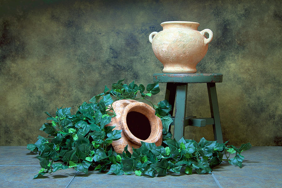 Vase Photograph - Pottery With Ivy I #1 by Tom Mc Nemar