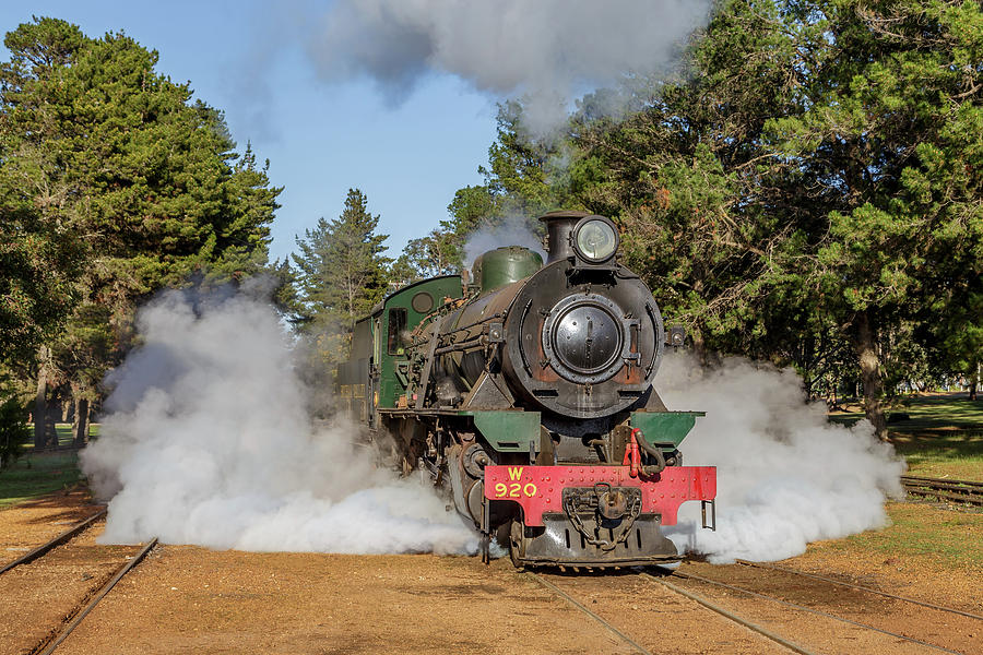 Steam Loco W920 Photograph by Robert Caddy