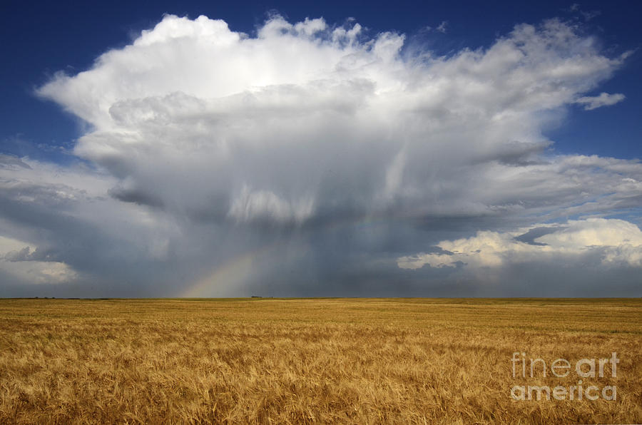 Landscape Photograph - Prairie Sky #1 by Bob Christopher
