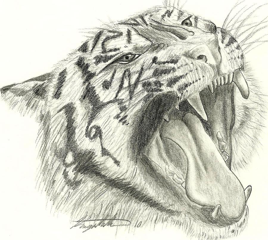 Predator Drawing by Keegan Miller