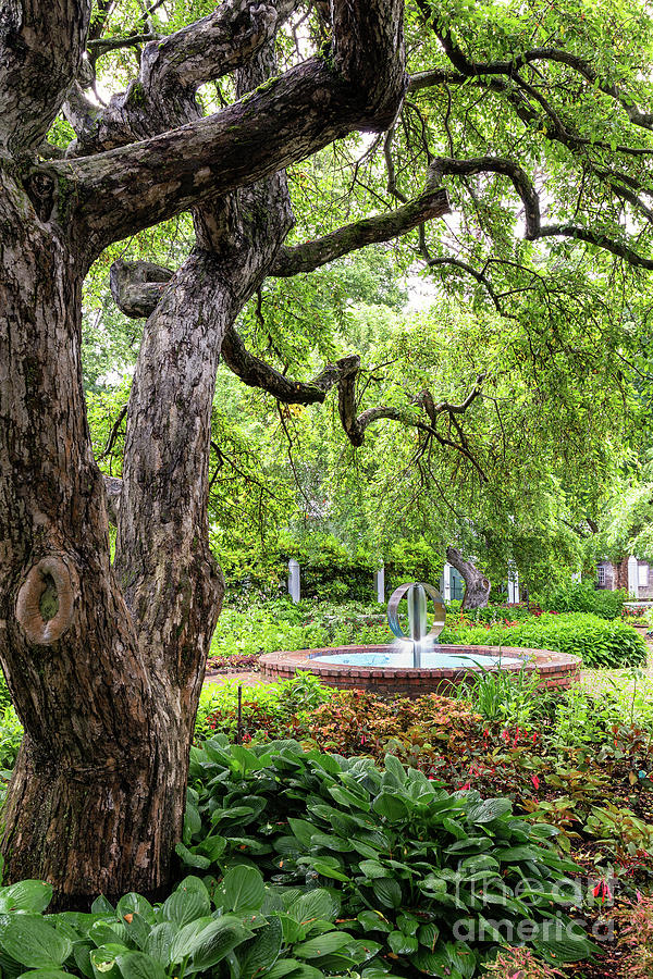 Prescott Park Flower Gardens Portsmouth New Hampshire #1 Photograph by Dawna Moore Photography Prescott Park Flower Gardens Portsmouth New Hampshire #1 Photograph by Dawna Moore Photography