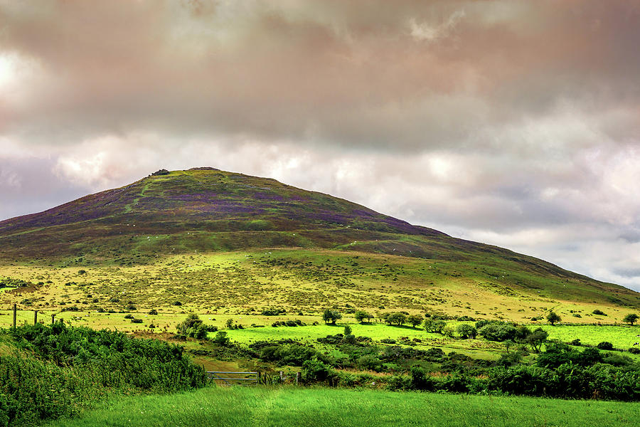 Preseli Mountains #1 Photograph by Mark Llewellyn